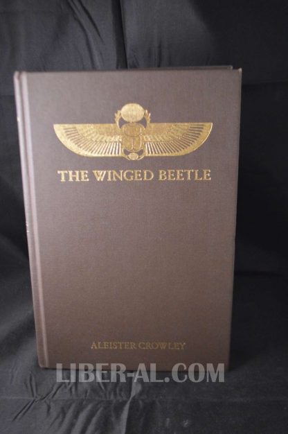 THE WINGED BEETLE - Image 3