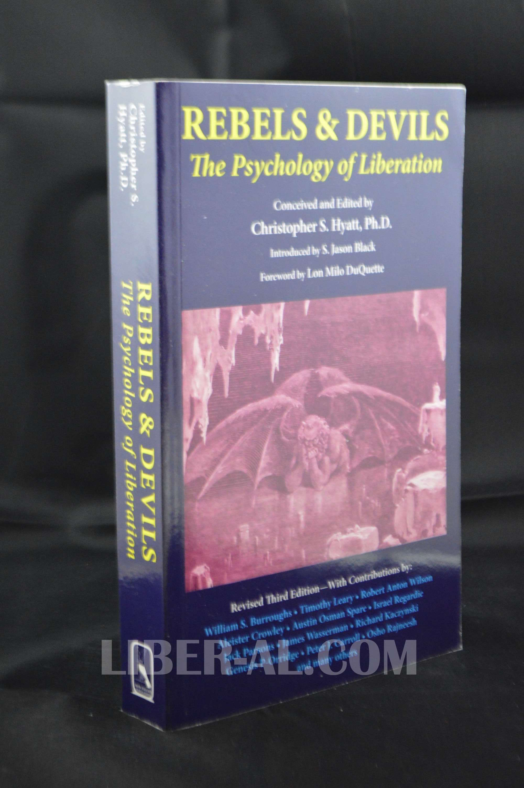 Rebels & Devils: The Psychology of Liberation