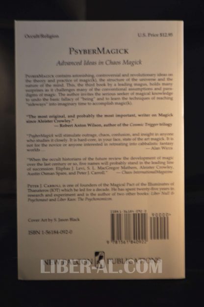 Psybermagick: Advanced Ideas in Chaos Magic - Image 3