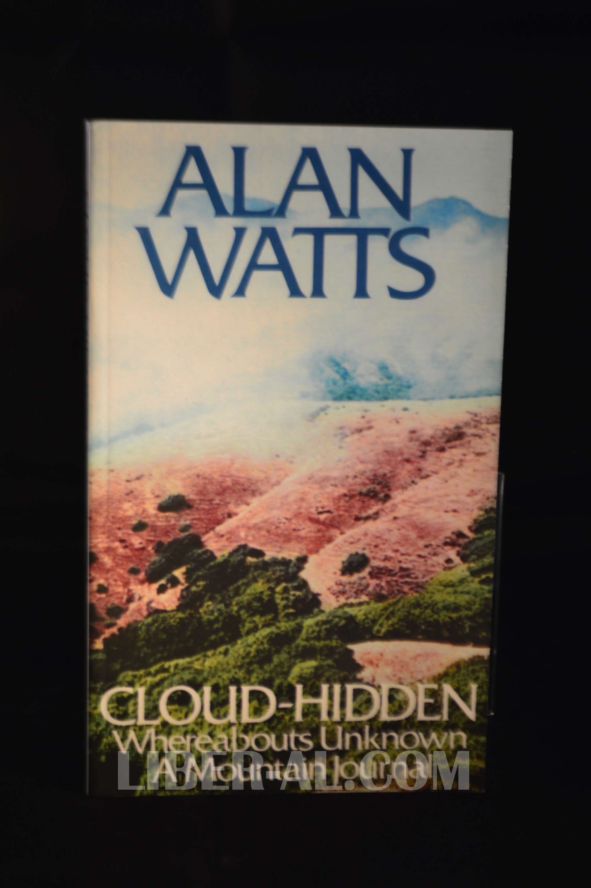 Alan Watts Cloud Hidden Soakploaty