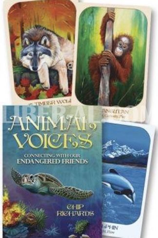 Number of endangered species. Картинки save our planet. Слайд животные на планете. How to save endangered animals. The earth is in danger текст.