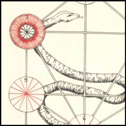 The Book of Archai by J. Edward Cornelius incl Essay by Christopher Reed Johnson - Image 8